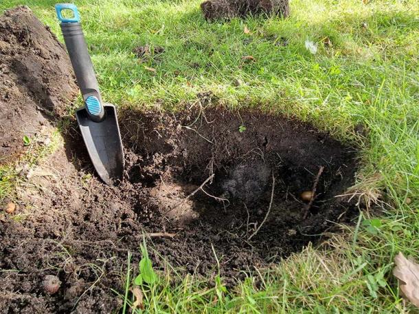 Jan Erik Aasvik did not know what he had unearthed on Jomfruland until he asked a community of metal detectorists on Facebook. (Vibeke Lia Vestfold and Telemark County Municipality)