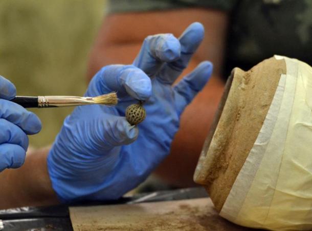 Jewelry, buckles and buttons were found with the coins in the pot. (Image: National History Museum, Bulgaria)