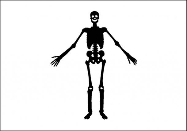 Steagul Jolly Roger al piratului Olivier Levasseur (La Buse), descris ca un "steag alb cu figura unui mort împrăștiat în el".