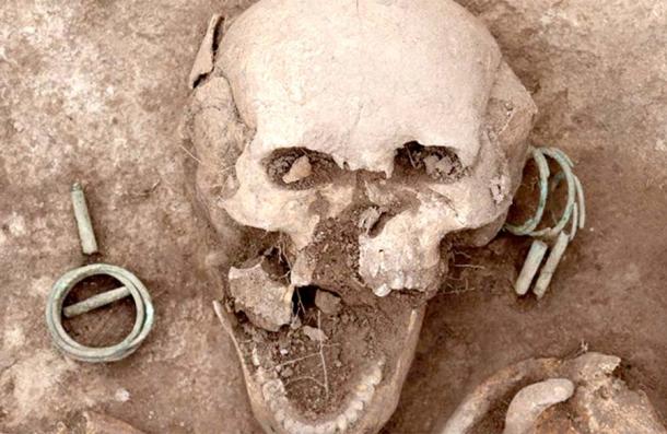 La mujer de élite Karasuk ha sido apodada la Dama siberiana de los anillos. Este primer plano de su cráneo muestra los grandes aretes, que formaban parte de su joyería funeraria. (Instituto de Arqueología y Etnografía de Novosibirsk)
