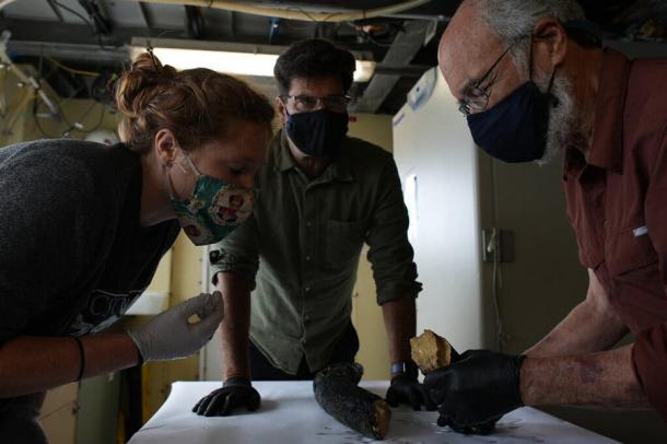 Katherine Moon, el Dr. Haddock y Daniel Fisher examinan el antiguo fragmento de colmillo de mamut a bordo del buque de investigación MBARI. (Darrin Schultz / MBARI)
