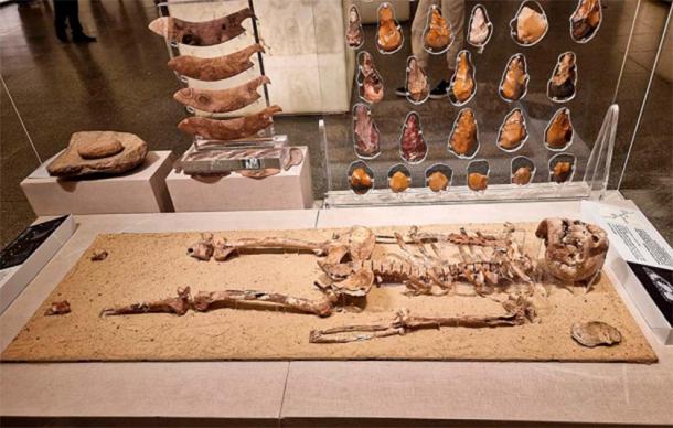 Nazlet Khater Skeleton, Upper Paleolithic. National Museum of Egyptian Civilization, Cairo. (Richard Mortel/CC BY 2.0)