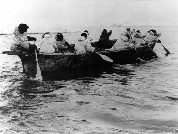 Kingikmiut Eskimos paddling an umiak, a boat made of animal skins, during a whale hunt, Bering Strait, Cape Prince of Wales.