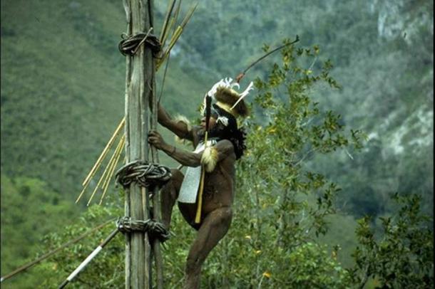 Kurulu Village War Chief at Baliem Valley, Papua. (Paul/CC BY 2.0)