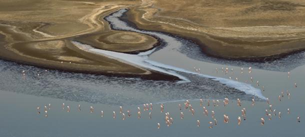 Lake Natron – Panorama - Aerial view - Tanzania. (Uryadnikov Sergey / Adobe)