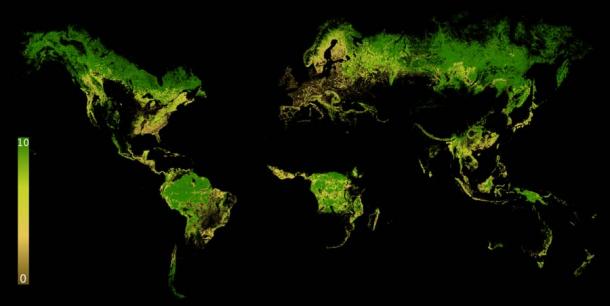 Índice de integridad del paisaje forestal 2019 Mapa de la tierra. Estado del bosque medido por el grado de modificación antropogénica. 0 = La mayoría de los cambios; 10 = Menos. Y como puede ver, gran parte del mundo urbano es esencialmente “negro”. (PhnomPencil/CC BY-SA 4.0)
