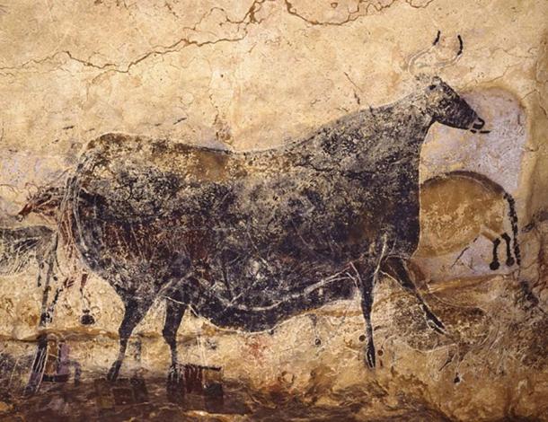 Lascaux Cave Art: Great Black Cow