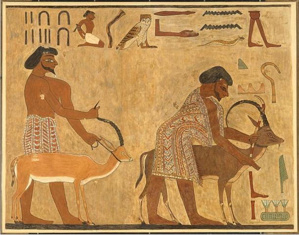 Leaders of the Aamu of Shu as depicted on the walls of the tomb of ruler of the Oryx Nome, Khnumhotep II.