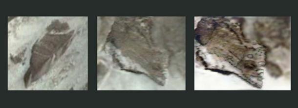 Left to Right: Figure 7(a), Figure 7(b), Fig 7(b) highlighted. (Author provided)