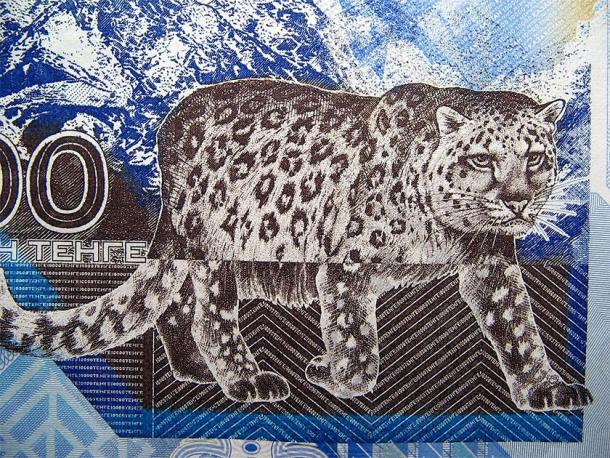 The Snow Leopard is the national animal of Kazakhstan where the Silk Road cat was found (The National Bank of Kazakhstan / Public domain)