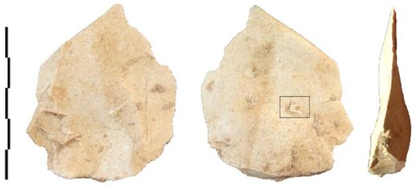 Levallois flake with the adhering cord fragment