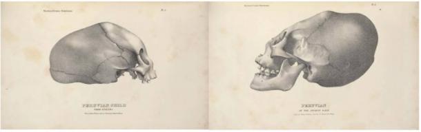 Литографии от Джон Колинс, 1839 г. от „Crania Americana“ на Самюъл Мортън