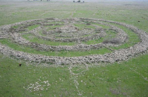 Livestock grazing nearby reveals scale of enormous stone rings on the plains of the Golan Heights. ( CC BY SA 3.0 )