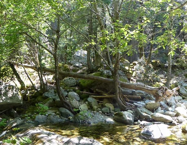 “Location of the petroglyph site hidden in a secluded are of the Castle Crags wilderness.” Photograph © Dustin Naef 2016