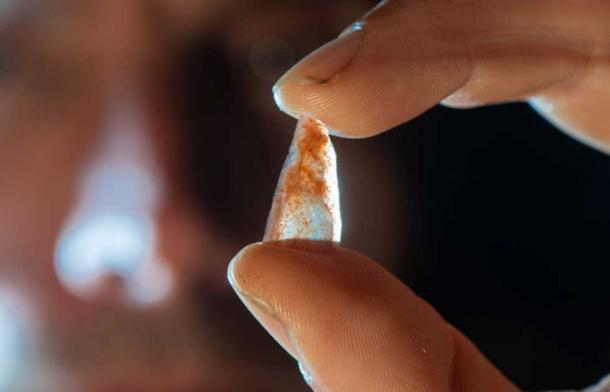Dr. Ludovic Slimak mostrando un nanopunto neroniano encontrado en la capa E de Grotte Mandrin. (Philippe Psaila/Science Advances)