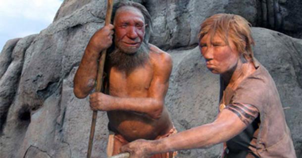 Homo neanderthalensis, male and female, at the Neanderthal Museum, Mettmann, Germany. (UNiesert / Frank Vincentz / CC BY SA 3.0)
