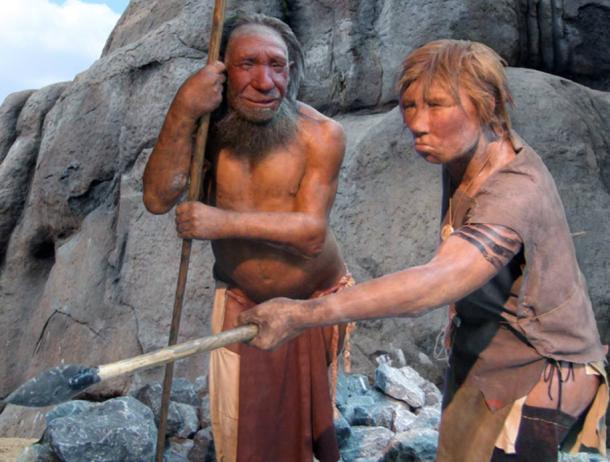 Male and female Homo neanderthalensis in the Neanderthal Museum, Mettmann, Germany.