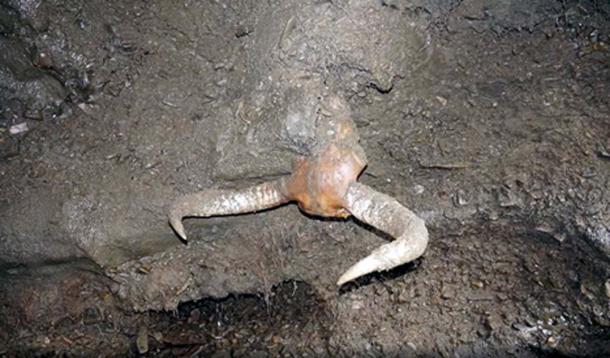 Mammoth tusks poke out from the water blasted permafrost.