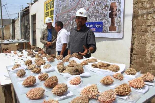 Many spondylus shells were unearthed in just one of the tombs.