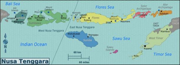 Map of Nusa Tenggara, Indonesia – Alor, where the skulls were discovered, is on the right side of the map. (OrgeBot / CC BY-SA 3.0)