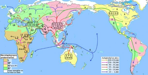 Map of human migration based on mitochondrial haplogroups. Pink corresponds to areas dominated by haplogroup M and their offspring in indigenous populations.