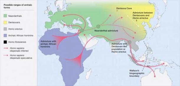 Map of the potential distribution of archaic hominins, including H. erectus, H. floresiensis, H. neanderthalenesis, Denisovans and archaic African hominins, in the Old World at the time of the evolution and dispersal of H. sapiens between approximately 300 and 60 thousand years ago. (Roberts and Stewart. 2018.)