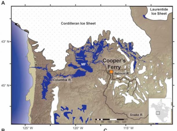 (A) Mapa que muestra la ubicación del sitio de Cooper's Ferry en el contexto de los entornos del noroeste del Pacífico hace 16 000 años. (Davis, Loren G/Ciencia)