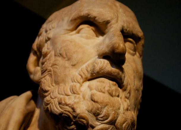 Marble bust of the Stoic philosopher Chrysippus, housed at The British Museum in London. (Paul Hudson / CC BY 2.0)