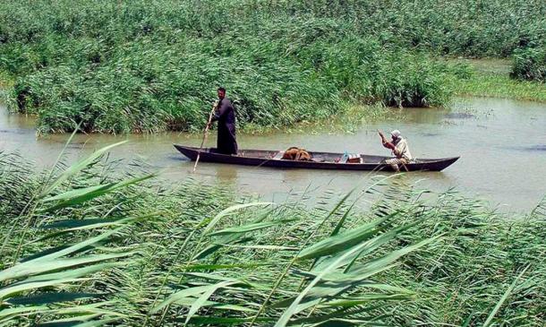 Marsh Arabs poling a traditional mashoof canoe in the reed marshes of southern Iraq. (U.S. Army / Public domain)
