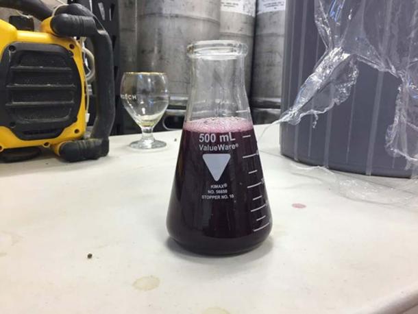 Mead beaker. Matt Gibbs, Author provided (No reuse)