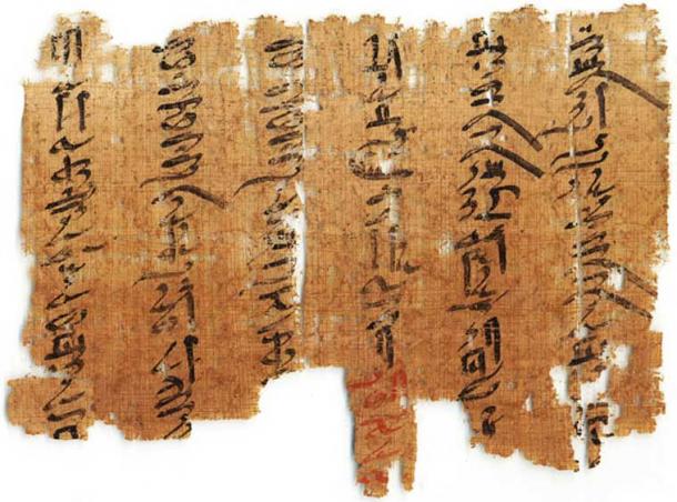 The Medical Papyri. 