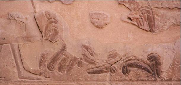 Medinet Habu Temple, Piles of Genitals. An accounting method of determining how many killed in battle. (Steven C. Price/CC BY-SA 3.0)