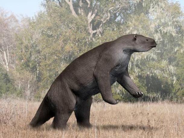 Megatherium americanum, giant ground sloth. (Nobu Tamura/CC BY SA 4.0)