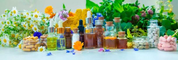 Members of the mint family have been used in numerous ways, from food to hygiene to medicine. (Yanadjan / Adobe Stock)