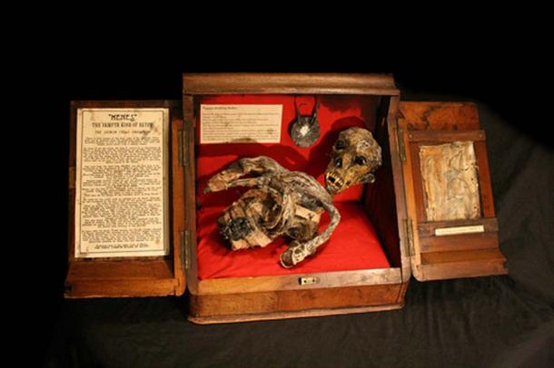 ““Menes” the Vampyr King of Egypt – The Demon Child Pharaoh” of the museum. 