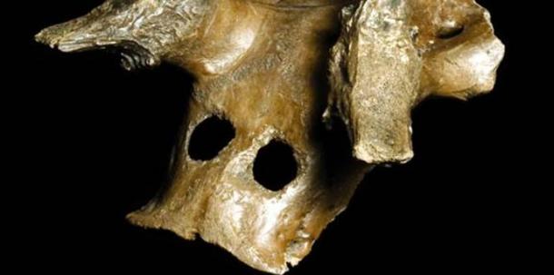 One of the three Mesolithic deer skull headdresses from the new exhibition.