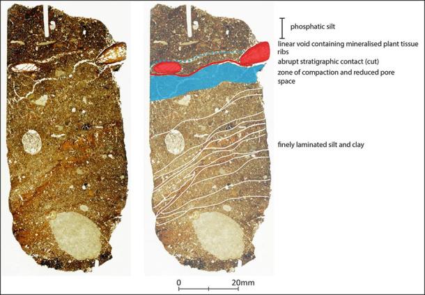 Micromorphology thin section through the cut feature containing the new Neanderthal remains. (L. Farr / Antiquity Publications Ltd)