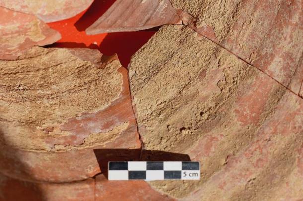 Concreciones mineralizadas que se han formado en la superficie del interior del orinal debido a las heces depositadas dentro del orinal. (Roger Wilson/Revista de Ciencias Arqueológicas)