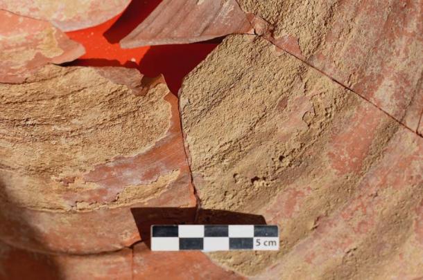 Mineralised concretions that formed on the surface of the interior of the chamber pot thanks to feces deposited within the chamber pot. (Roger Wilson / Journal of Archaeological Science)