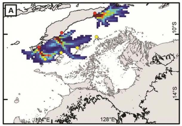 Model results for vessel launches from Timor and Roti, showing ‘accidental’ drift voyaging where only wind and currents affect movement. Yellow dots show the islands closest to Timor/Roti. (Image: Scott Condie/Robin Beaman)