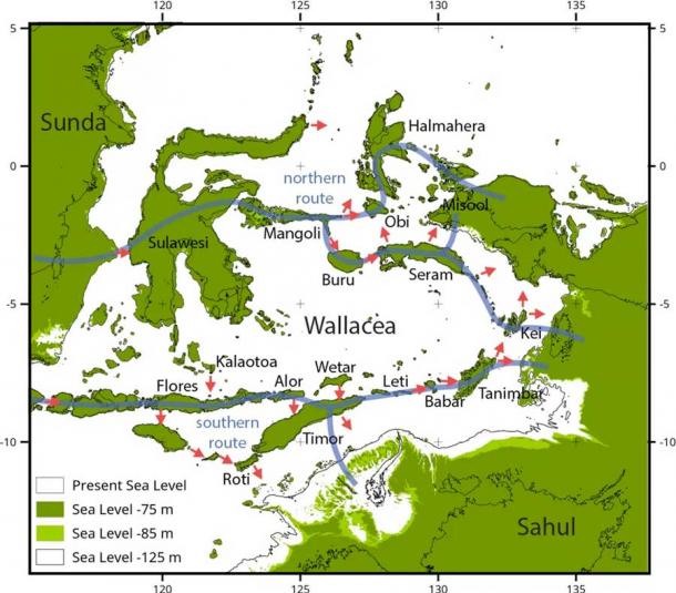 Modelled routes for making landfall in Sahul. Sea levels are shown at -75 m and -85 m. Potential northern and southern routes indicated by blue lines. Red arrows indicate the directions of modelled crossings. Michael Bird