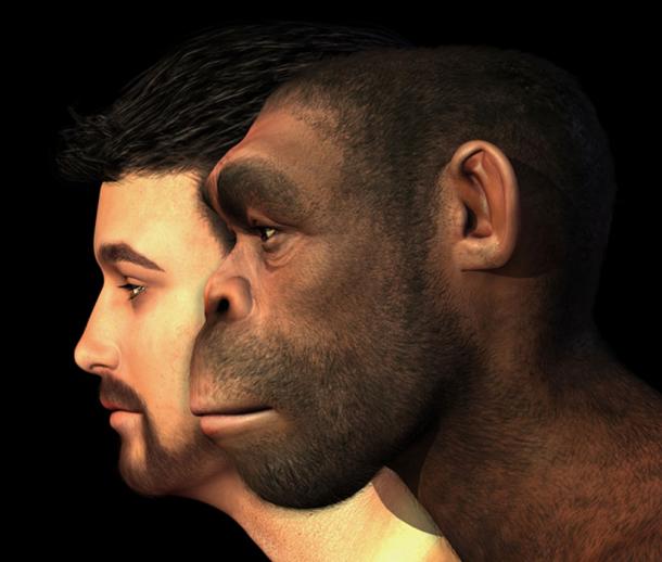 Modern Human and Homo Erectus Man Compared. (AlienCat / Adobe)