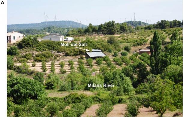 Location and current status of the Moli del Salt site