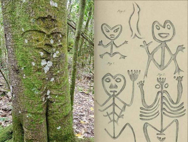 Left: An early Moriori tree carving known as a Rakau Momori on a karaka trunk on Rekohu, the main island of the Chatham Islands in New Zealand. (Steve / Adobe Stock) Right: Illustrations of Momori designs carved into trees and rocks. (Public domain)