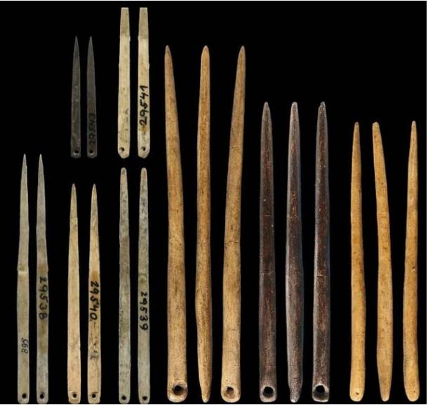 Morphological variation in the size and shape of Late Pleistocene eyed needles. (Gilligan et al, 2024)