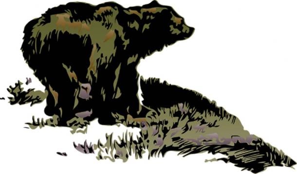 Most Native American stories about the site involve bears.