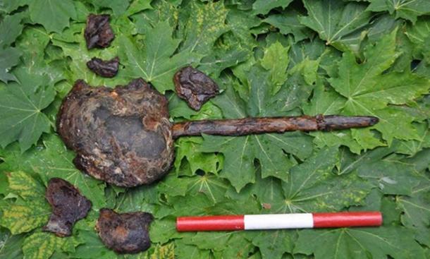 One of the mounted skulls found in Motala, Sweden. Credit: Anna Arnberg.