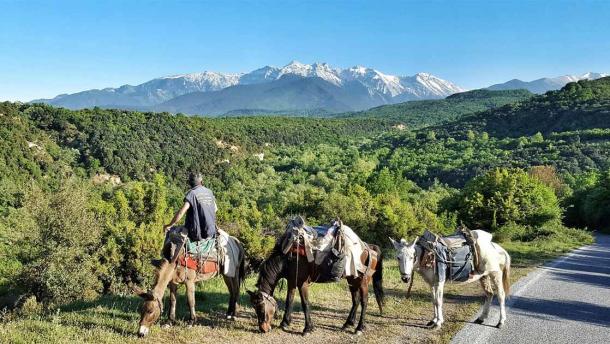 Mules with backdrop of snowy Mount Olympus, Greece - North view from Petra, Pieria (Cristo Vlahos / CC BY SA 4.0)