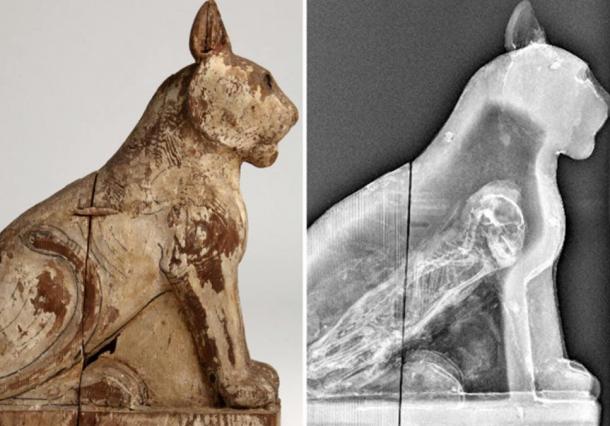 70 Million Mummified Animals in Egypt Reveal Dark Secret