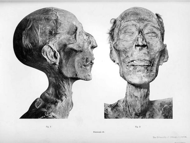 Mummified skull of Ramesses II. (G. Elliot Smith/Public domain)